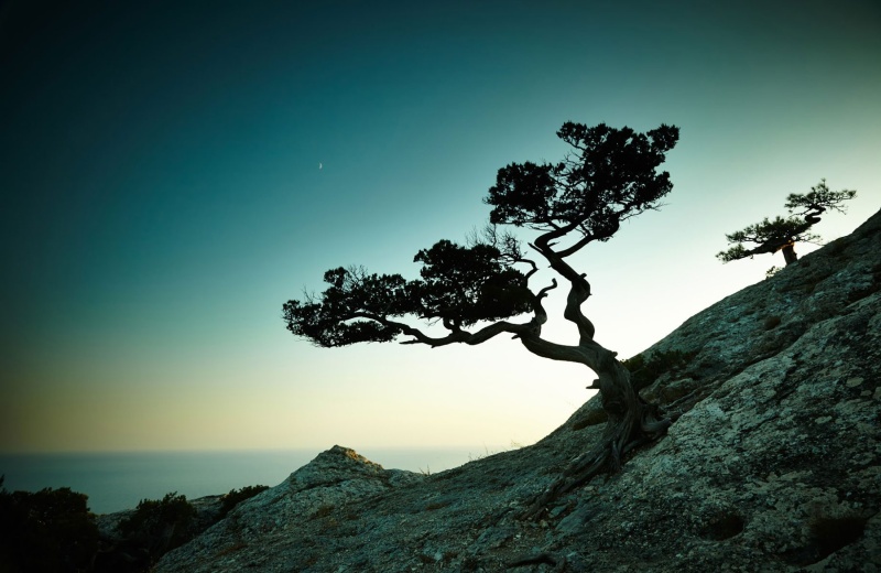 landscapes-08
